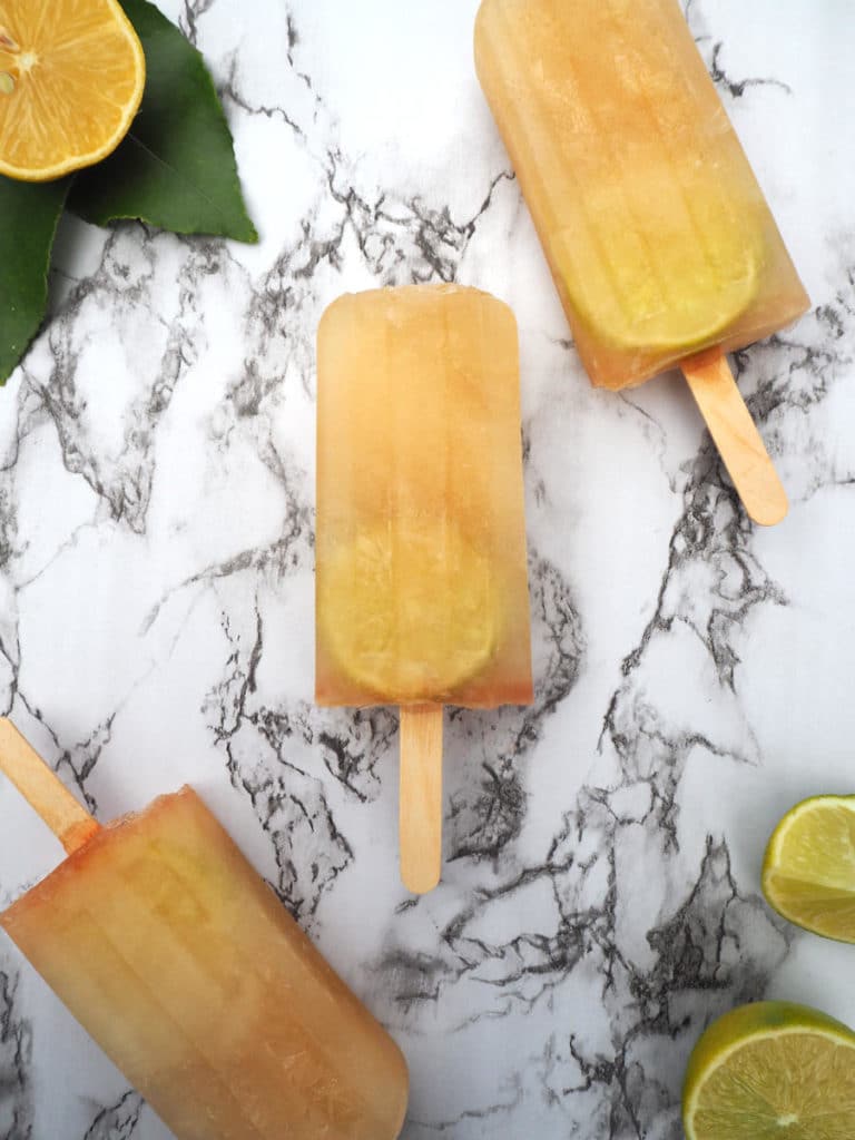 Lemon, lime and bitters popsicles 17 Lemon lime bitters popsicles with lemon leaves