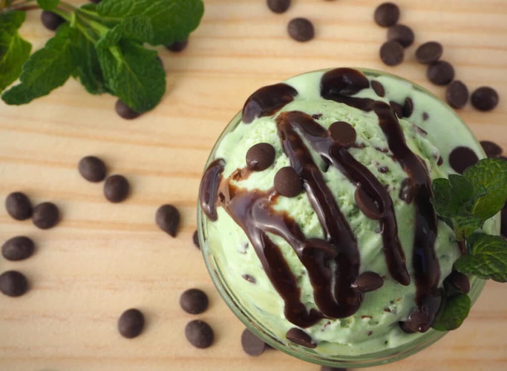 Mint choc chip ice cream with chocolate sauce