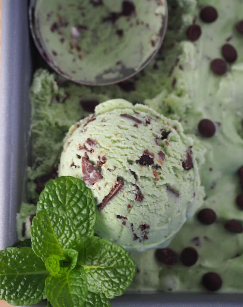 Mint choc chip ice cream with scoop in pan