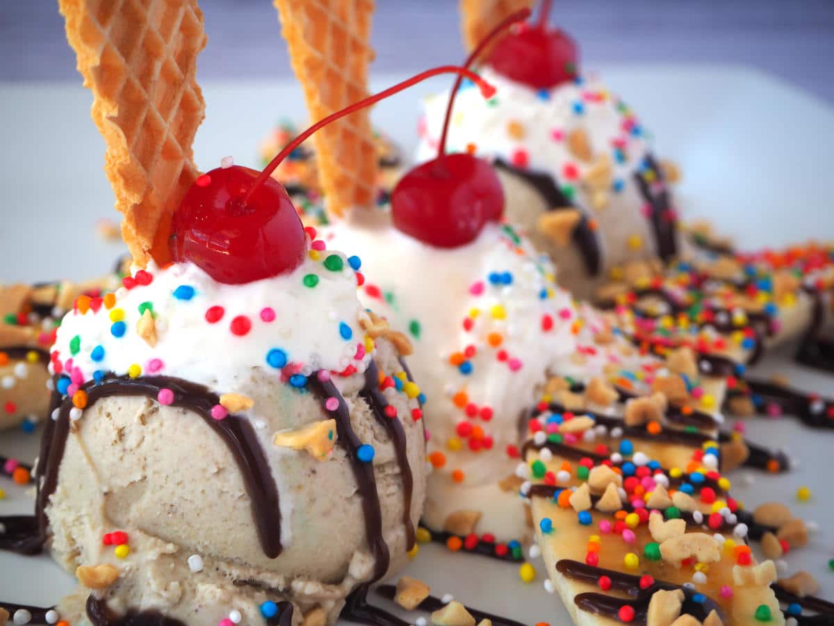 Banana split 2 Close up diaganol view of banan split, with scoops of banan, then vanilla, then banan ice cream, fresh sliced banana on either side of ice cream scoops, chocolate sauce drizzled over ice cream and banana, whipped cream on top of ice cream scoops, chopped nuts and rainbow sprinkles over everything, cocktail cherries on top of whipped cream and sail shapped wafer pushed into cream and ice cream scoops, on a large white plate, with a grey background.