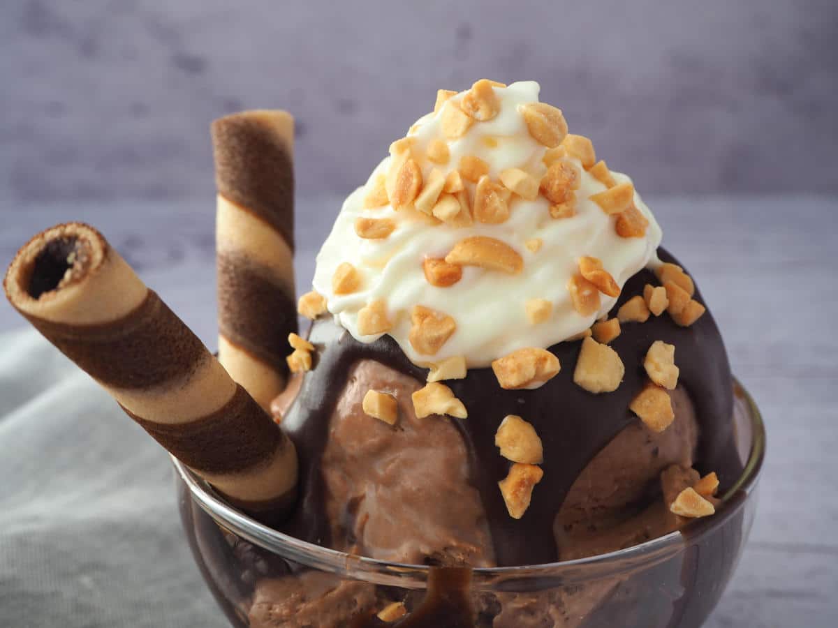 Close up side view of small chocolate sundae with chocolate fudge sauce, chocolate ice cream, whipped cream, chopped nuts, chocolate and vanilla tube wafers, in a small glass bowl, on a grey background with a grey tea towel.