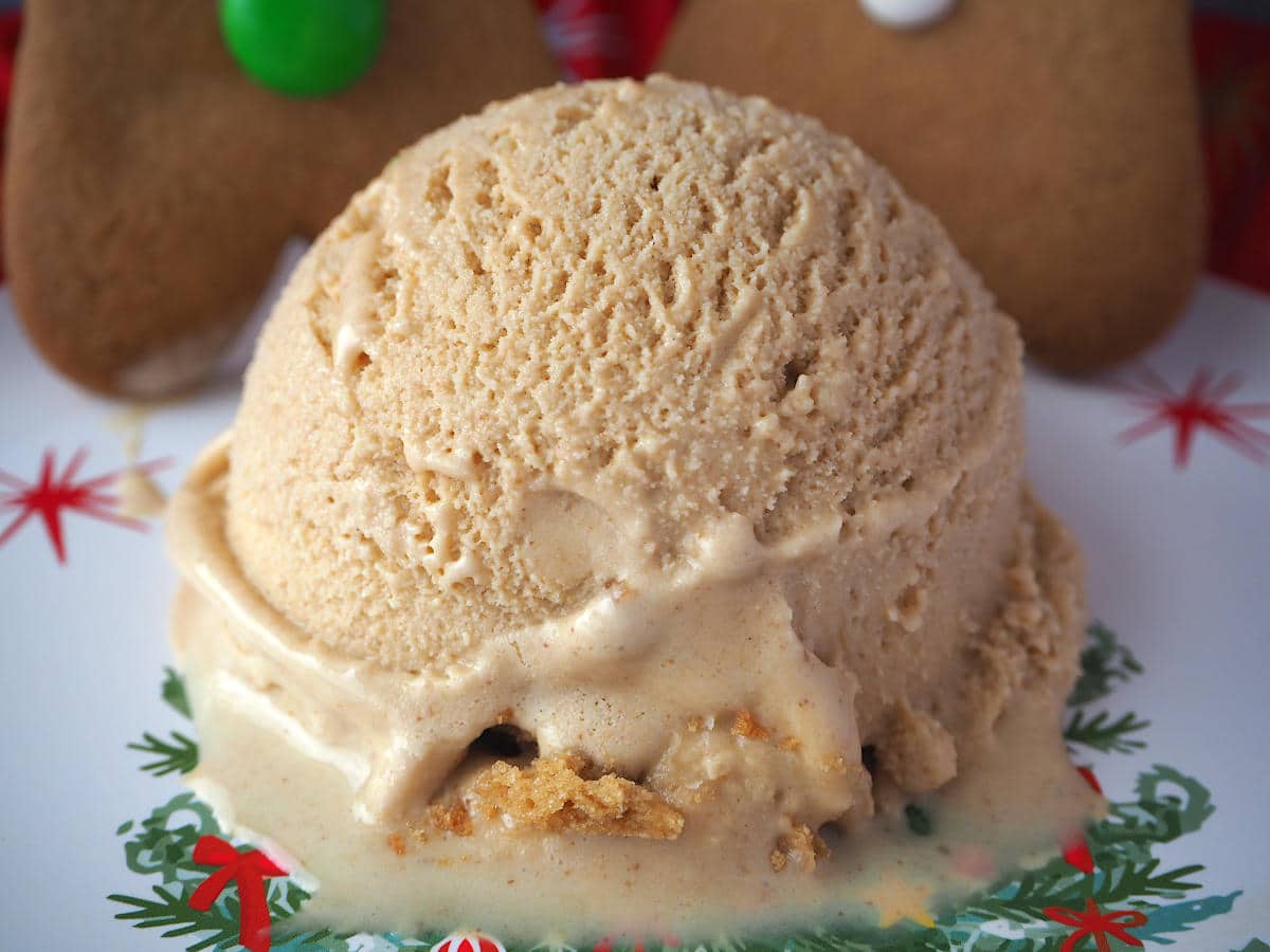 Close up scoop of gingerbread ice cream with gingerbread in background.