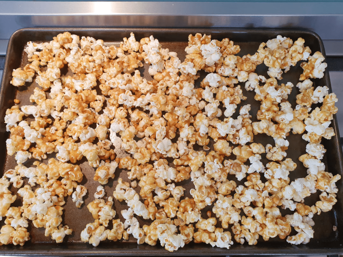 Popcorn on try ready to bake.