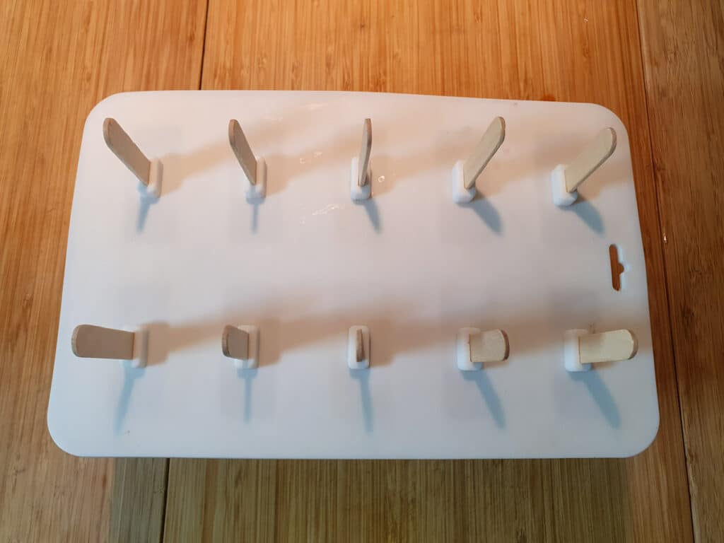 ready to freeze popsicles in molds with lid and sticks.