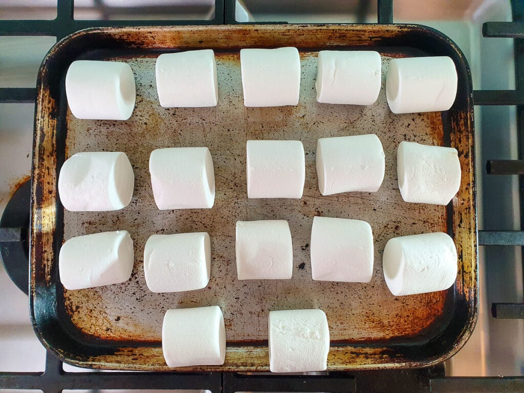 Marshmallows on a tray ready to grill, long or biggest side up.