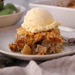 Feijoa crumble 18 Close up side view of feijoa crumble on a plate with ice cream.