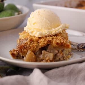 Close up side view of feijoa crumble on a plate with ice cream.