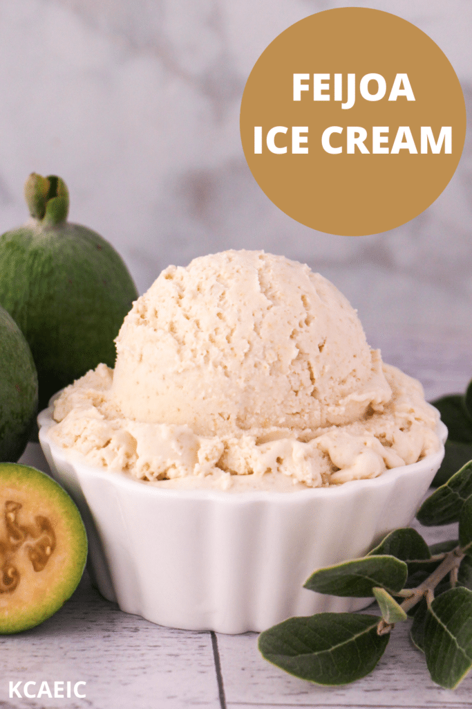 Scoop of feijoa ice cream with fresh feijoa, cut in half feijoa and sprig of feijoa leaves, with text overlay, feijoa ice cream, KCAEIC.