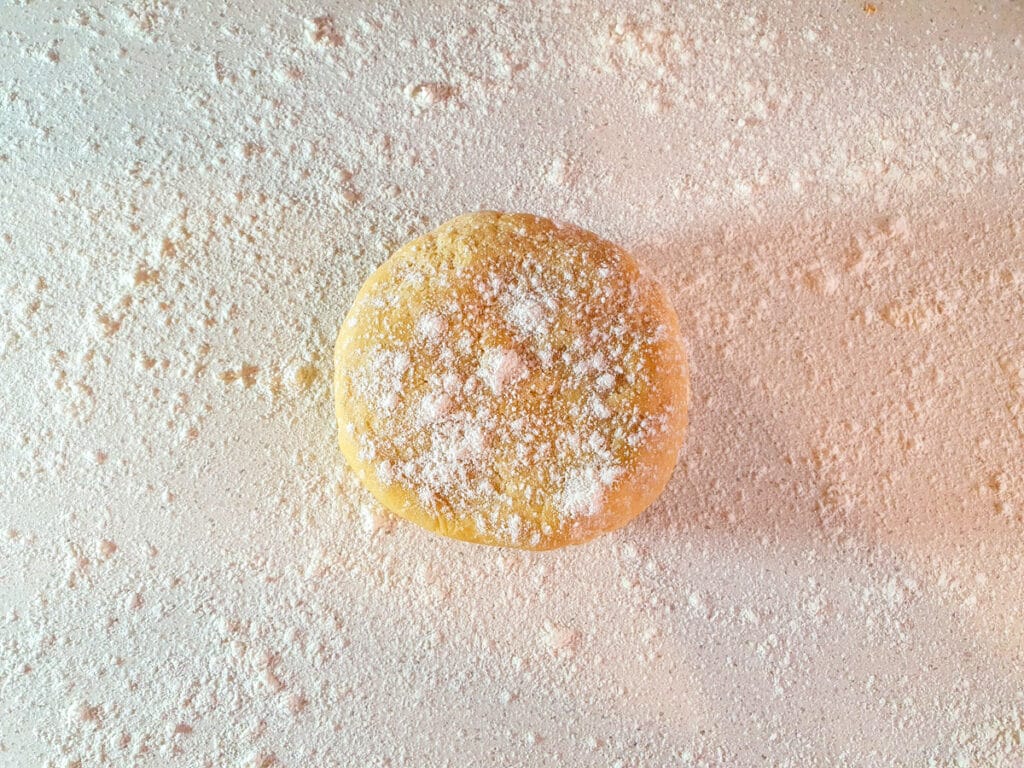 Pastry dough on floured work surface.