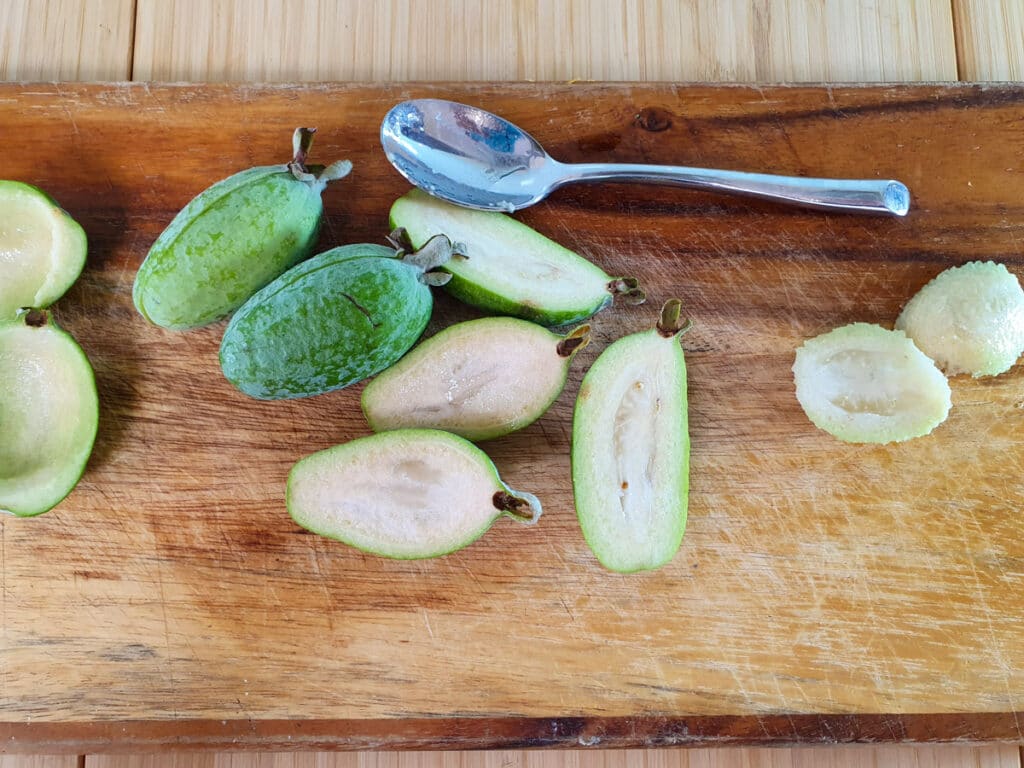 Feijoa cheesecake 11 Removing flesh from feijoas.