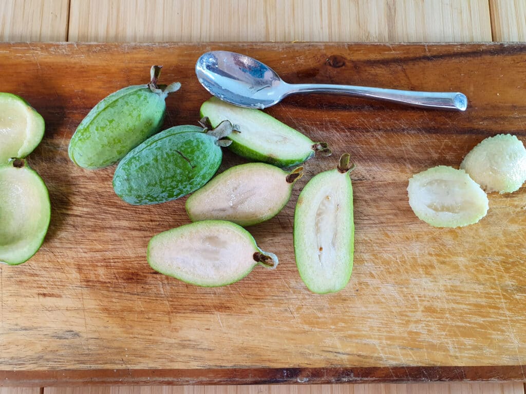 Removing flesh from feijoas.