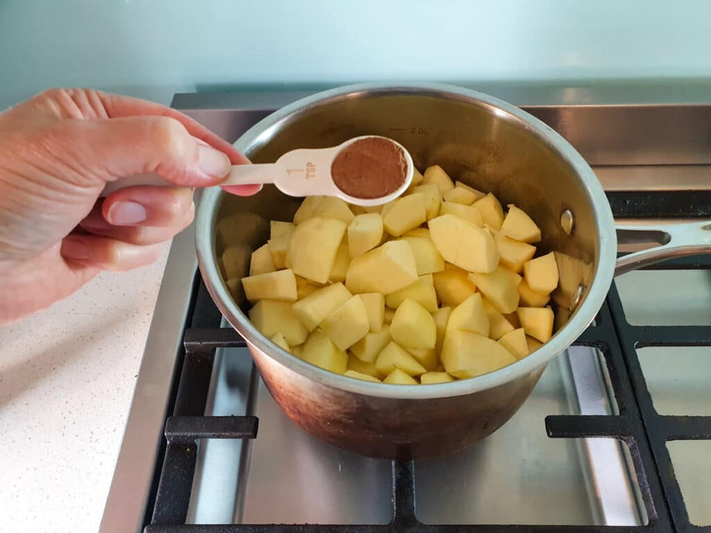 Adding cinnamon to apple mix in pot on stove.