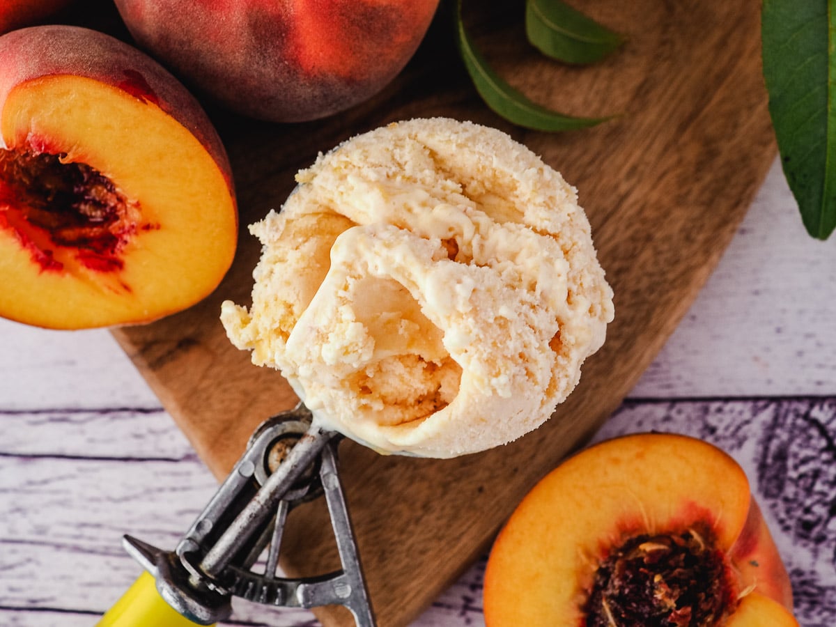 Scoop of ice cream in ice cream scoop, with fresh peaches.