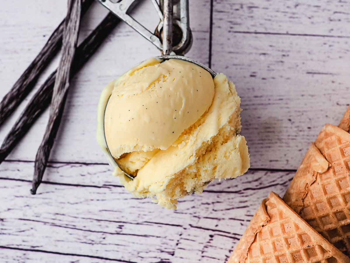 Scoop of ice cream in ice cream scoop, in between vanilla beans and ice cream cones.