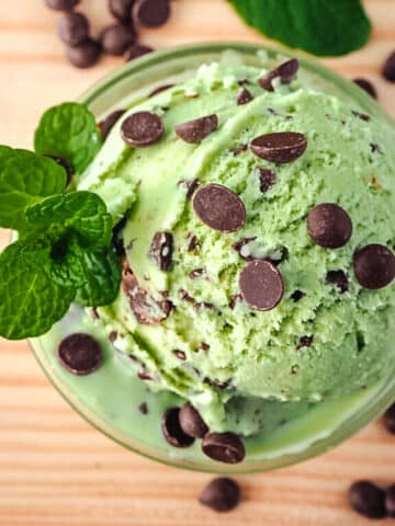 Mint chocolate chip ice cream in a bowl, with fresh mint.