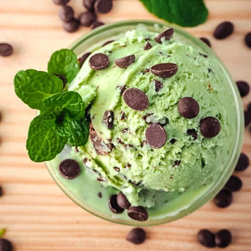 Mint chocolate chip ice cream in a bowl, with fresh mint.