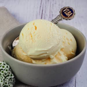 Cuisinart ice cream maker recipes base ice cream