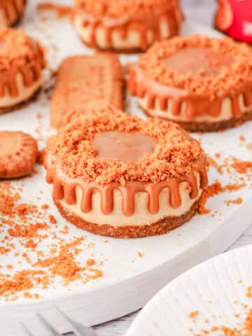 Close up mini Biscoff cheesecakes with drip edge and cookie crumb decoration, on a serving plate, with jar of Biscoff in the background.